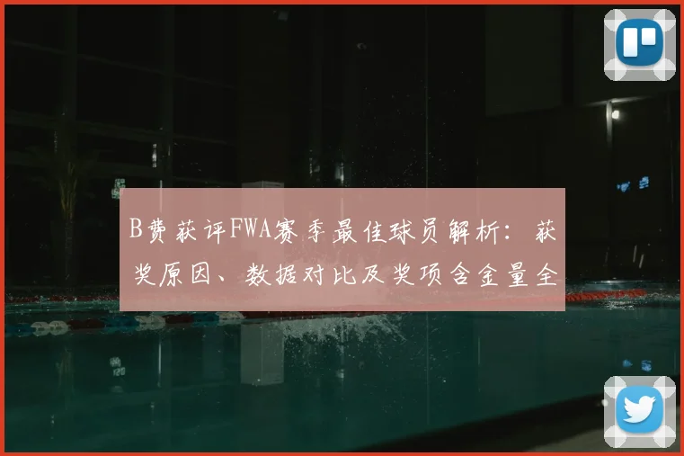 B费获评FWA赛季最佳球员解析:获奖原因、数据对比及奖项含金量全览